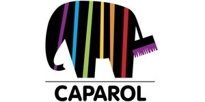 Бои и довършителни строителни материали Caparol
